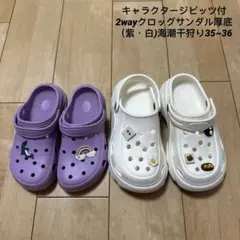 Item thumbnail for item f1b6ba58-618f-429a-a20d-c531937b630f