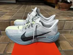 Nike Pegasus Plus 8.5 26、5cm ペガサス