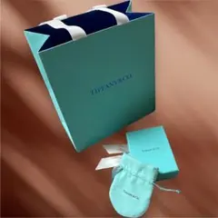 【美品】Tiffany & Co. ショップ袋・ギフトボックス・ポーチセット