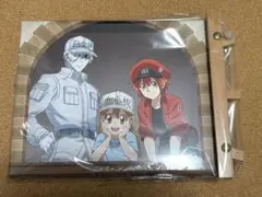 日常組の日常展 アクリルアートパネル、カンバッチコレクション