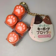 ぼちぼち　キーボードブロック•にくきゅう