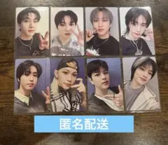 Stray Kids dominATE SEOUL DVD特典トレカ コンプ