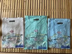 Item thumbnail for item c11866e0-6927-461d-b6a7-0fdfbd4cb1b6