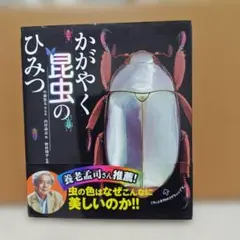 Item thumbnail for item e2fbfe2b-873d-4e39-8023-4bdfc8154946