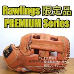 SSK プロフェッショナルモデル 阪神タイガース 岡田彰布刺繍入り