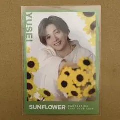 FANTASTICS フォトカ　八木勇征