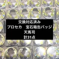 プロセカ　宝石箱　缶バッジ　天馬司　31点