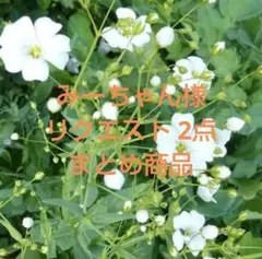 みーちゃん様 リクエスト 2点 まとめ商品