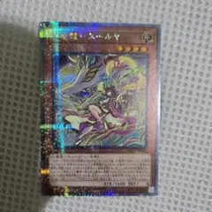 天威龍-スールヤ 25thシク 遊戯王カード