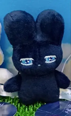 beco+81 しりみみうさぎマスコット2 ブラック