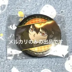 家庭教師ヒットマンREBORN! 激推し缶バッジ5 沢田綱吉 12個セット