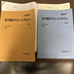 竹岡のドラゴンイングリッシュ　前期•後期 あかさかす様専用 駿台 竹岡先生 ドラゴンイングリッシュ 前期 後期