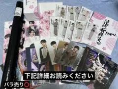 滝沢歌舞伎ZERO FINAL グッズセットのサムネイル