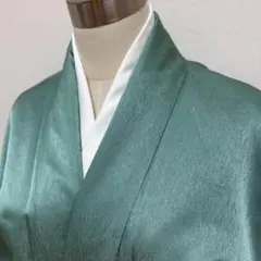 KN5415 洗える着物 色無地 身丈157.5cm ポリエステル 化繊