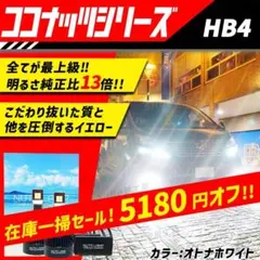車 HB4 ライト フォグライト フォグランプ LED ホワイトNUTSLAMP