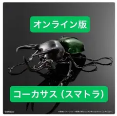 いきもの大図鑑アドバンス　コーカサスオオカブト　スマトラ　オンライン版