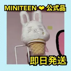 ICECREAM MINITEEN PLUSH ぬいぐるみキーリング ミンギュ - メルカリ