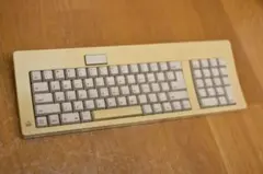 Apple Keyboard M0116 US配列 ALPSサーモン軸