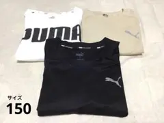 【美品 ➕良品❣️】PUMA Ｔシャツ3点セット　150cm （XS〜S）