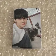 ENHYPEN アンケートトレカ ジョンウォン