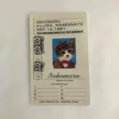 なめ猫 コレクションカード　匿名配送