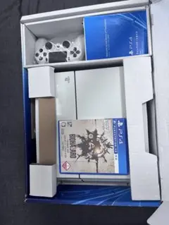 PS4本体とコントローラー「BIOHAZARD 7 resident evil」