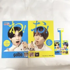 中島健人 菊池風磨 ガルボ A4ポスター