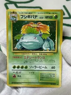 【旧裏】ポケモンカード・フシギバナ　★あり