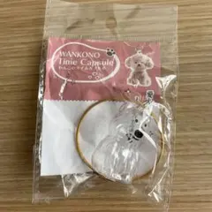 Item thumbnail for item a93651d3-c48a-47b2-b0e8-fc745cf165ab