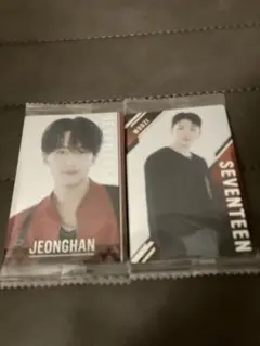 seventeen セブチ ウエハース ジョンハン ウジ