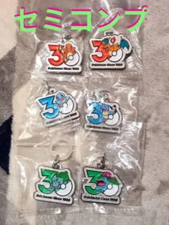 ポケモン 30周年 メタルチャーム マスコット セミコンプ ガチャ