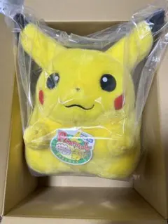 ポケットモンスター 30周年記念 おかえり！ピカチュウ1/1 ぬいぐるみ