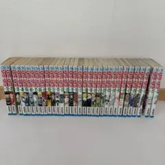 HUNTER×HUNTER 1〜32巻