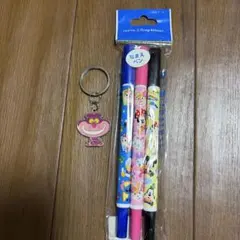 東京ディズニーリゾート なまえペン 3本セット キーホルダー付