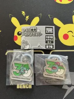 ポケモン 30周年 メタルチャーム ゼニガメ カメックス 未開封セット