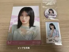 野口衣織　イコラブ　イコールラブ　生写真　缶バッチ　シナモン　シナモロール