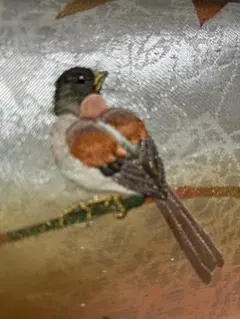 Item thumbnail for item c7601d83-360f-4e3b-a21a-fc5ea658fb6f