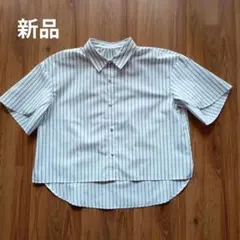 any SiS ペタルスリーブ シャツ ブルーストライプ パールボタン 洗えるのサムネイル