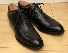 2026年最新】シェットランドフォックス ケンジントンの人気アイテム