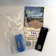 ポケモンGO メガシンカナイト ペンライト - メルカリ