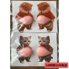 38.48様 リクエスト 2点 まとめ商品