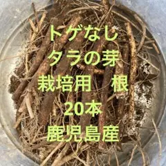 黒木様 リクエスト 3点 まとめ商品