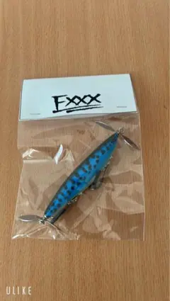 fxxx ガリテトラ　未使用 ガリテトラ 新カラー登場!! - BONHEUR ONLINE SHOP