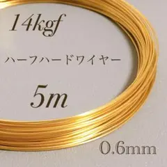 高品質　14kgf 0.6mm  ハーフハードワイヤー　5m
