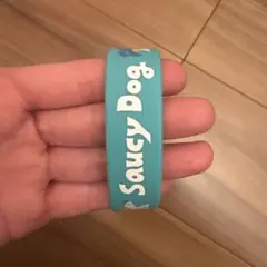 Saucy Dog ラバーバンド