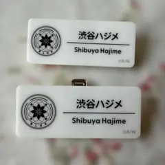 未使用　にじさんじフェス2025 ネームバッジ 渋谷ハジメ　2個セット