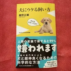 Item thumbnail for item d4fdbbae-3441-4ed1-9c9a-61b3f0fca1f0