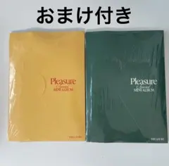 treasure Pleasure アルバム 新品未開封