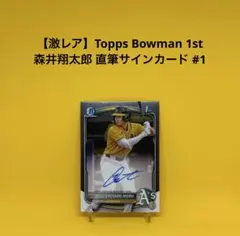 Item thumbnail for item 2b405d80-68ff-4b8a-baa1-fae77c926376