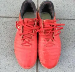 2026年最新】ティエンポレジェンド7の人気アイテム - メルカリ